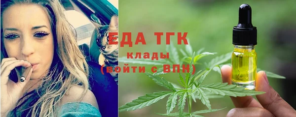 СК Горняк