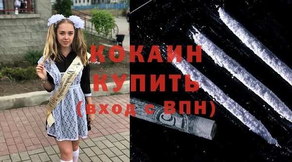 2c-b Горно-Алтайск