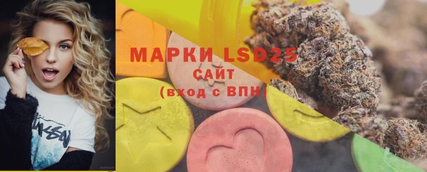 СК Горняк