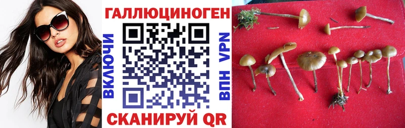 Псилоцибиновые грибы MAGIC MUSHROOMS Чистополь
